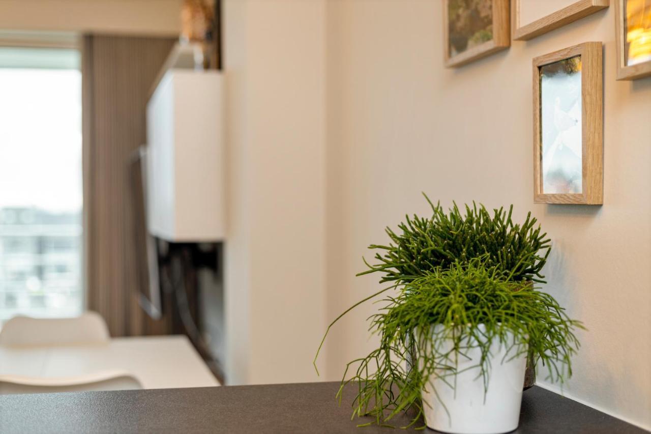 Ruim Appartement Aan De Jachthaven ブランケンベルヘ エクステリア 写真